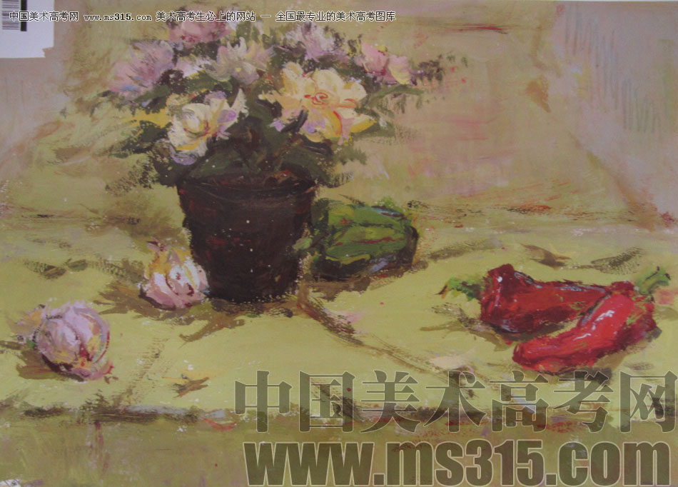 2012年中国美术学院造型、图媒类色彩优秀试卷49