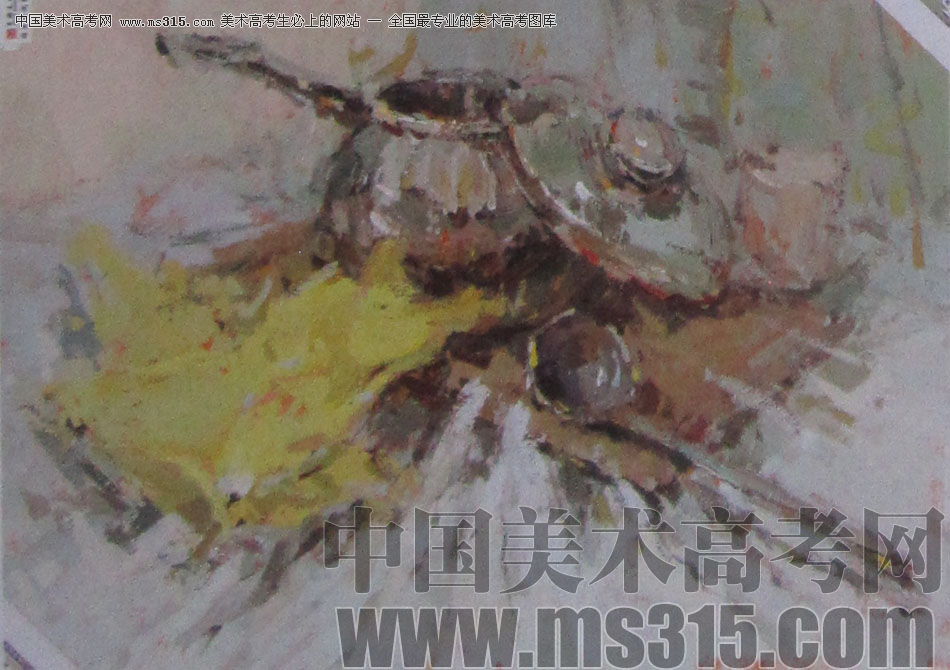 2013年中国美术学院建筑设计类色彩优秀试卷19
