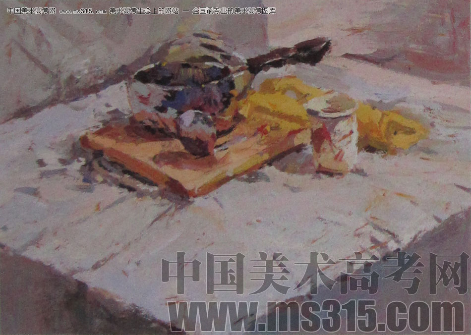 2013年中国美术学院建筑设计类色彩优秀试卷27