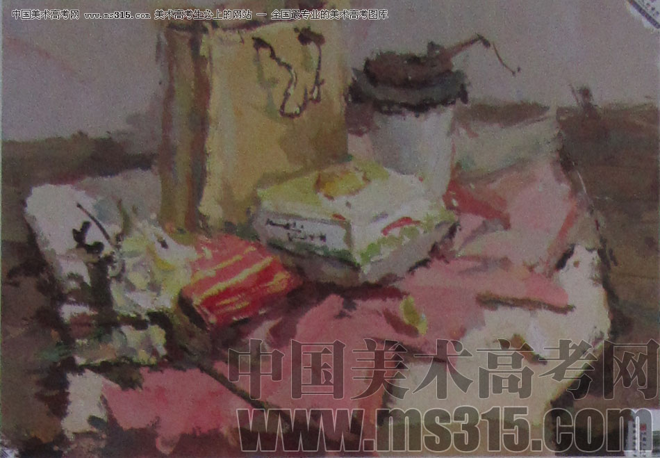 2013年中国美术学院建筑设计类色彩优秀试卷37