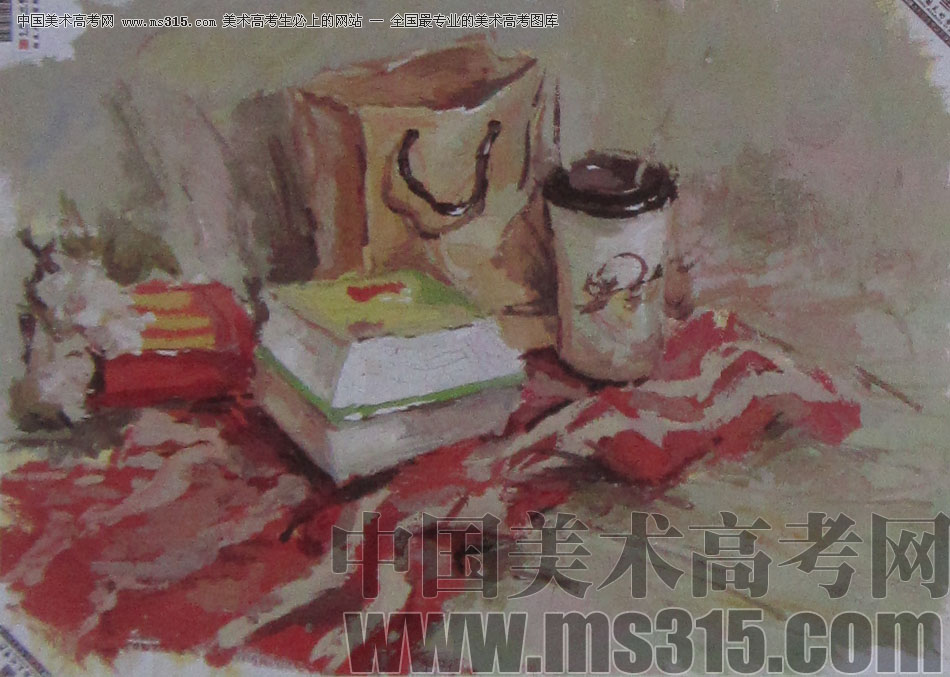 2013年中国美术学院建筑设计类色彩优秀试卷39