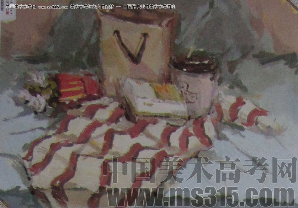 2013年中国美术学院建筑设计类色彩优秀试卷41