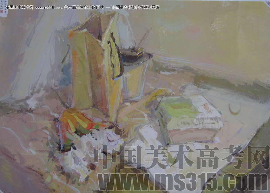 2013年中国美术学院建筑设计类色彩优秀试卷84