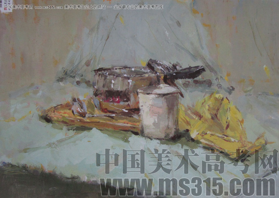 2013年中国美术学院建筑设计类色彩优秀试卷59