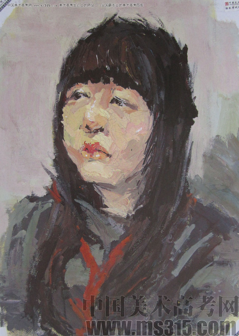2013年中国美术学院造型图媒类色彩优秀试卷13
