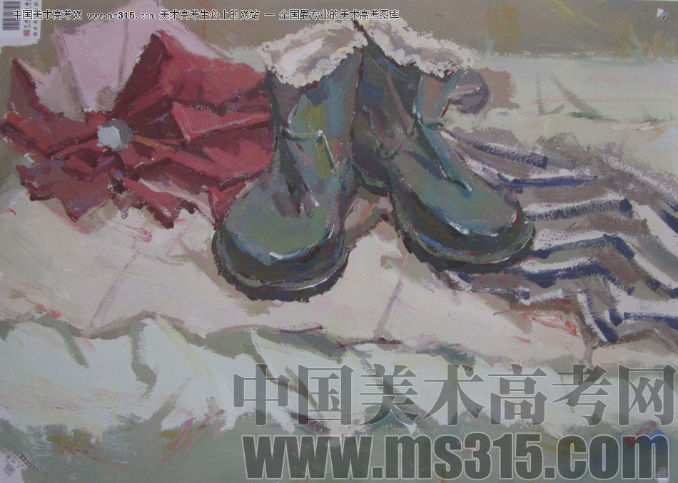 2013年中国美术学院造型图媒类色彩优秀试卷35