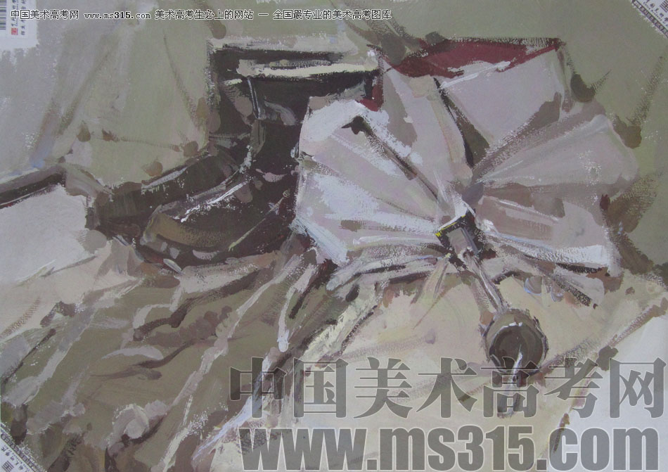 2013年中国美术学院造型图媒类色彩优秀试卷36