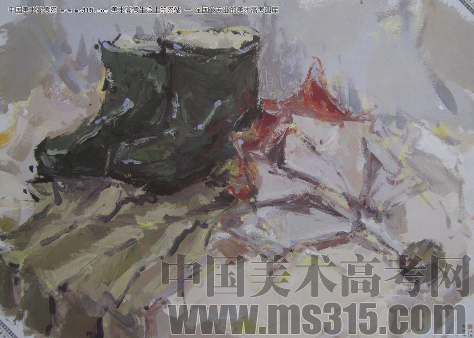 2013年中国美术学院造型图媒类色彩优秀试卷38