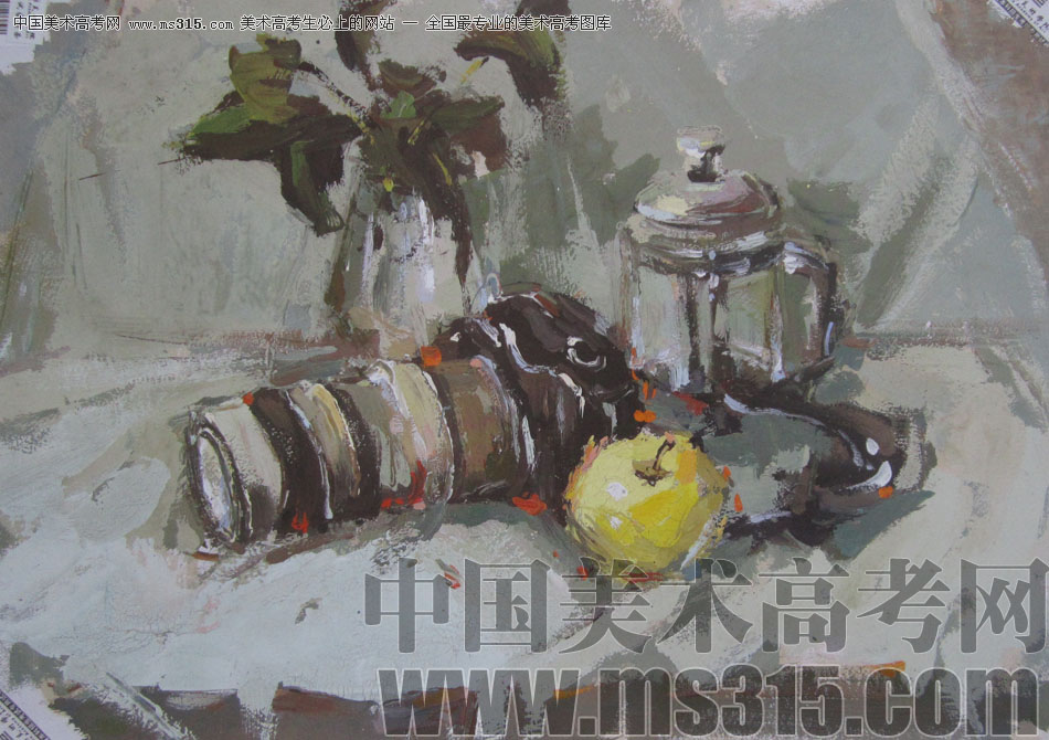 2013年中国美术学院造型图媒类色彩优秀试卷46