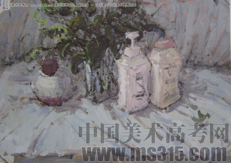2013年中国美术学院造型图媒类色彩优秀试卷48
