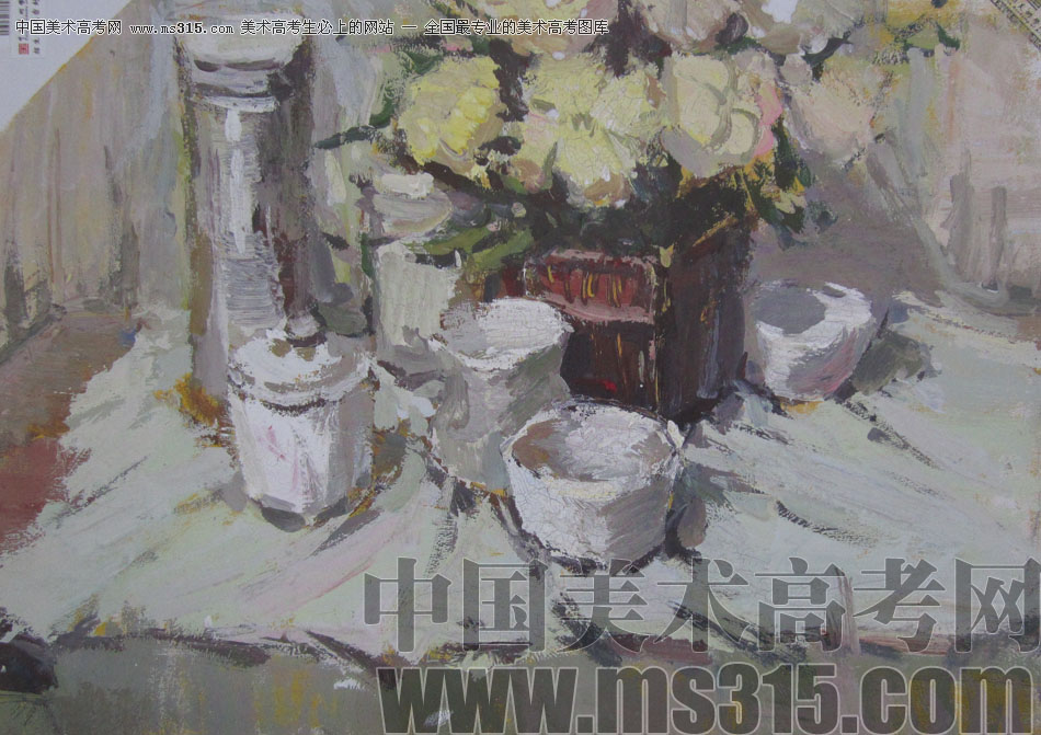 2013年中国美术学院造型图媒类色彩优秀试卷47