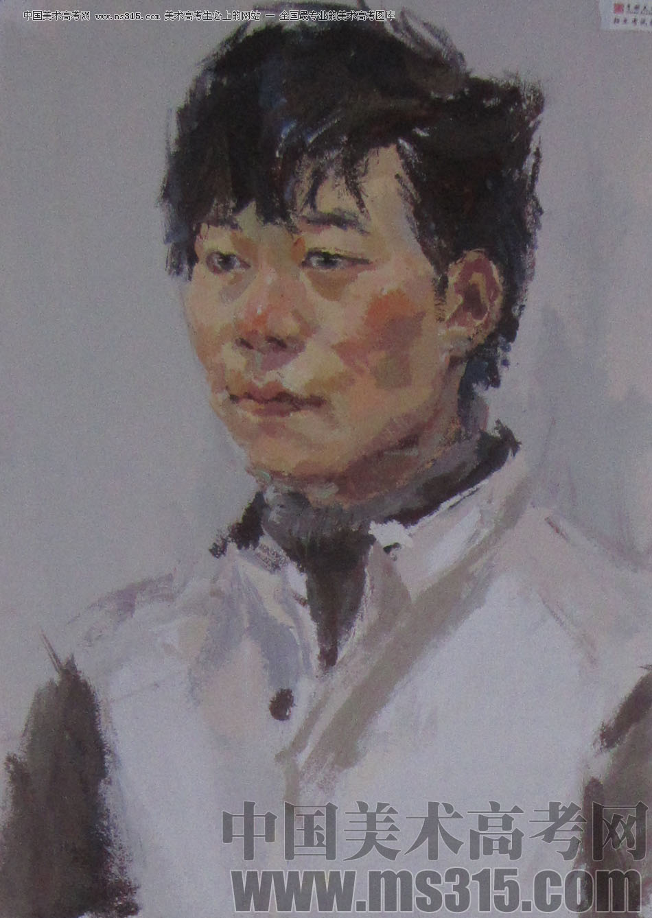 2013年中国美术学院造型图媒类色彩优秀试卷57