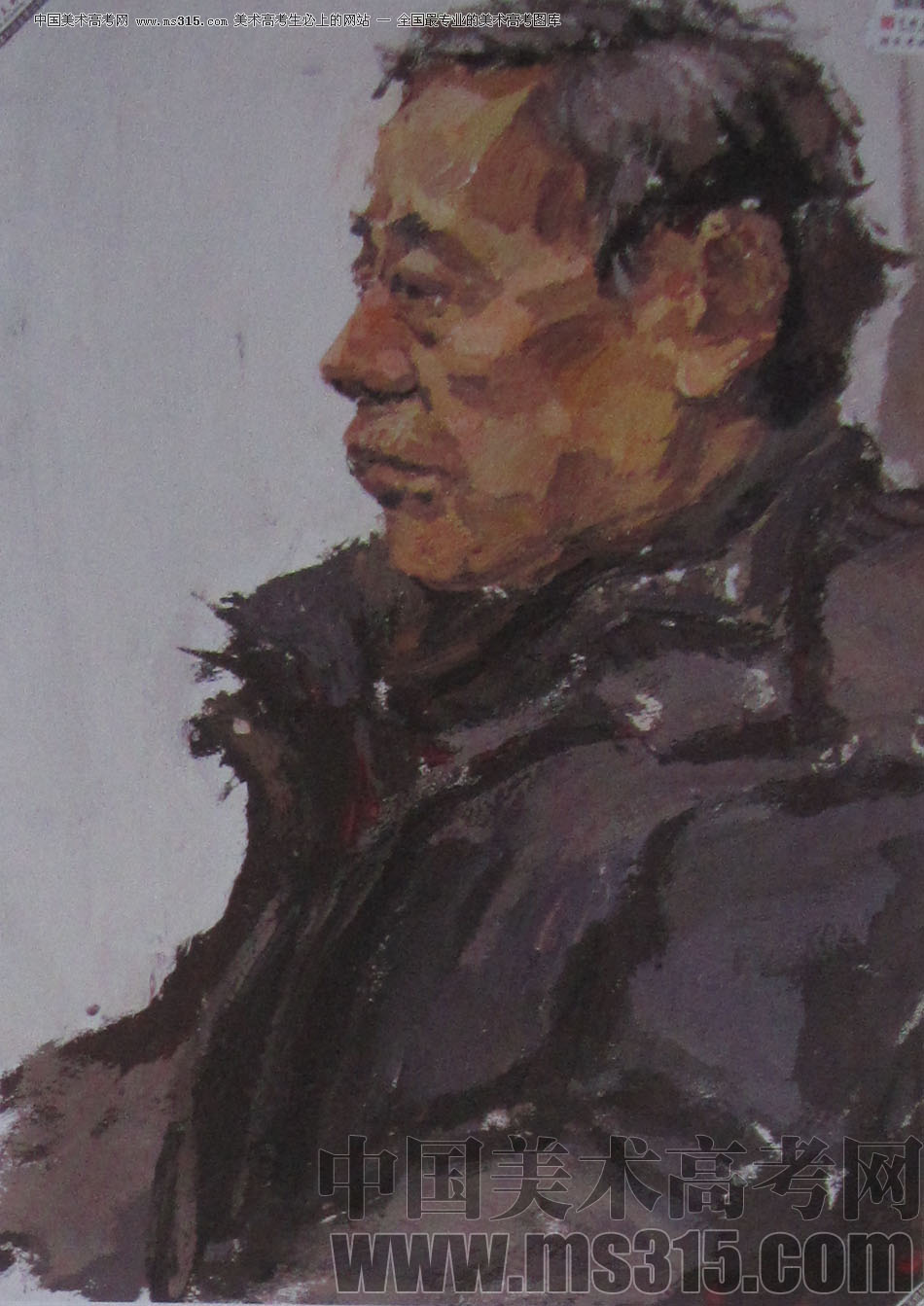 2013年中国美术学院造型图媒类色彩优秀试卷58