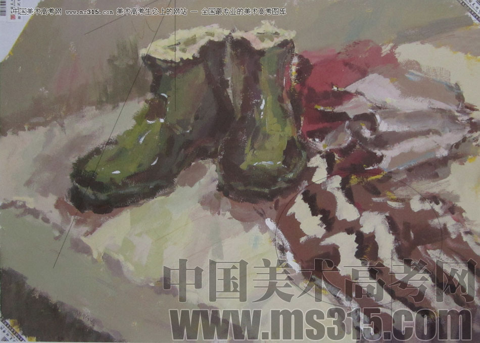 2013年中国美术学院造型图媒类色彩优秀试卷95