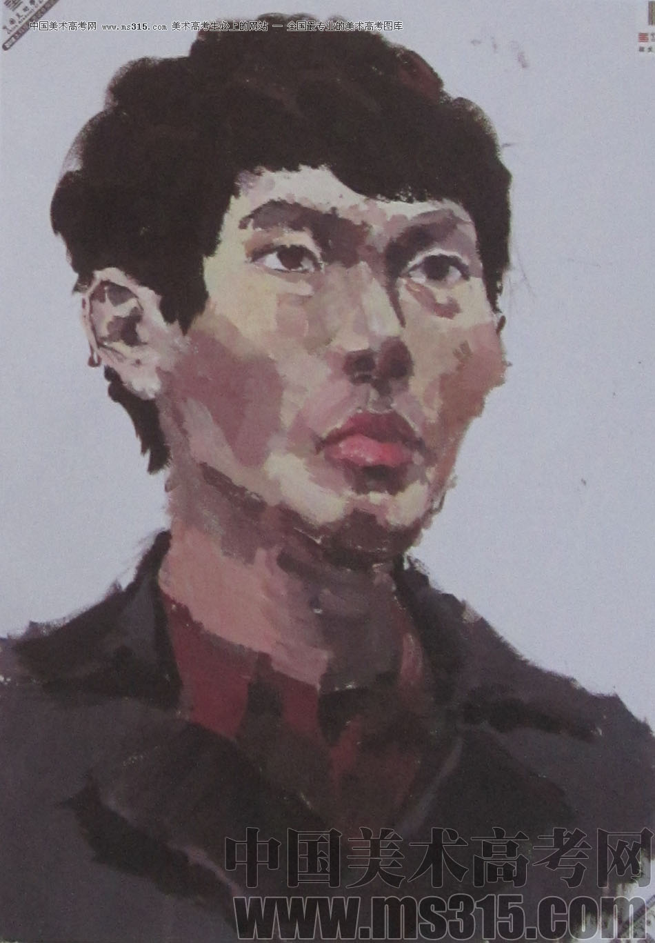 2013年中国美术学院造型图媒类色彩优秀试卷65