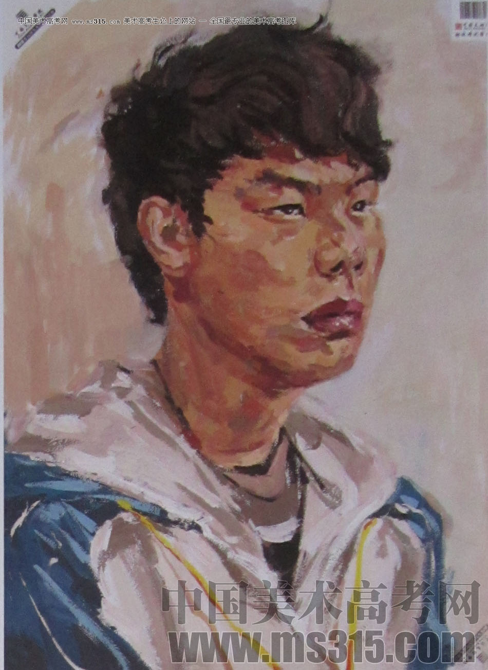 2013年中国美术学院造型图媒类色彩优秀试卷67