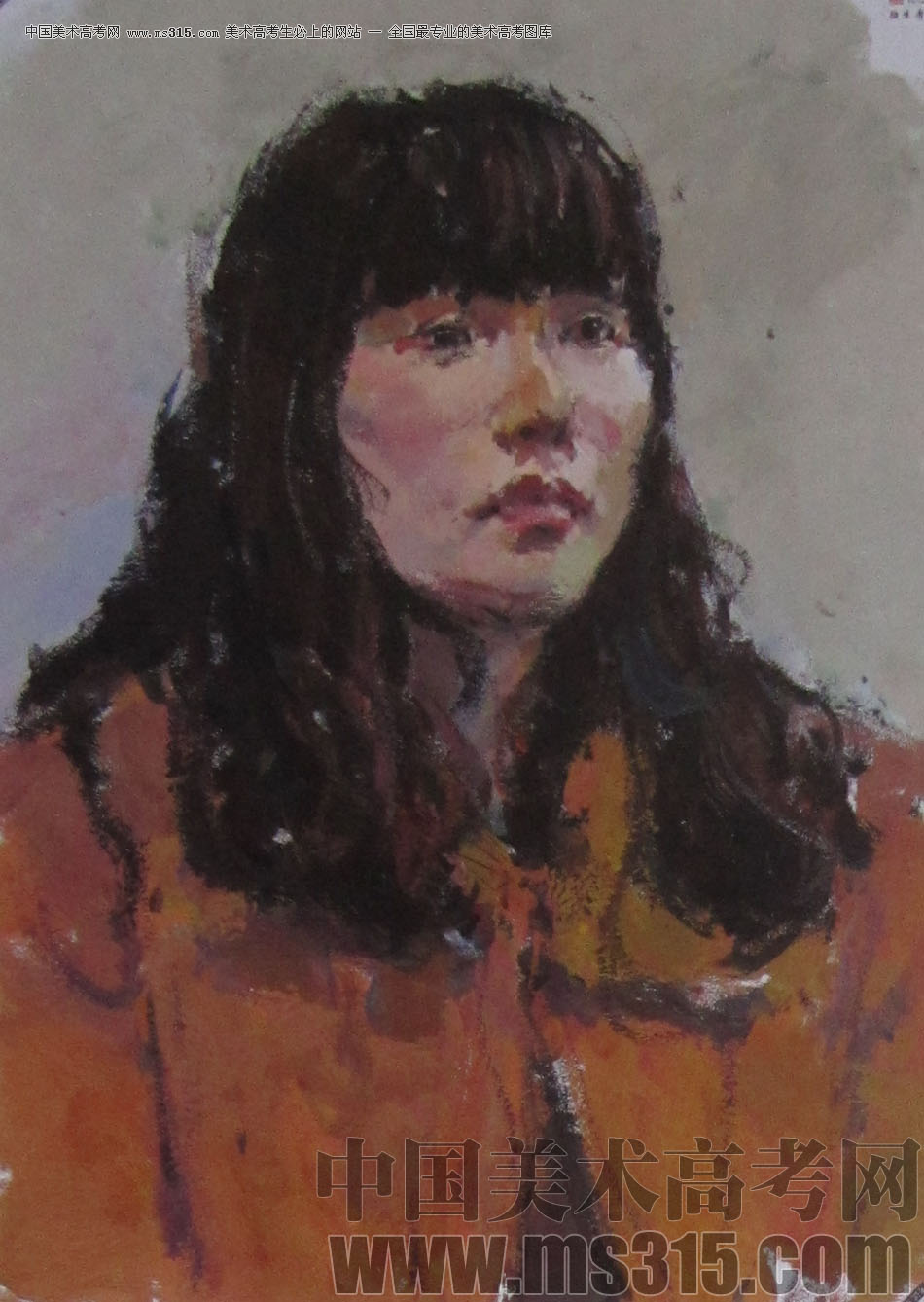 2013年中国美术学院造型图媒类色彩优秀试卷66