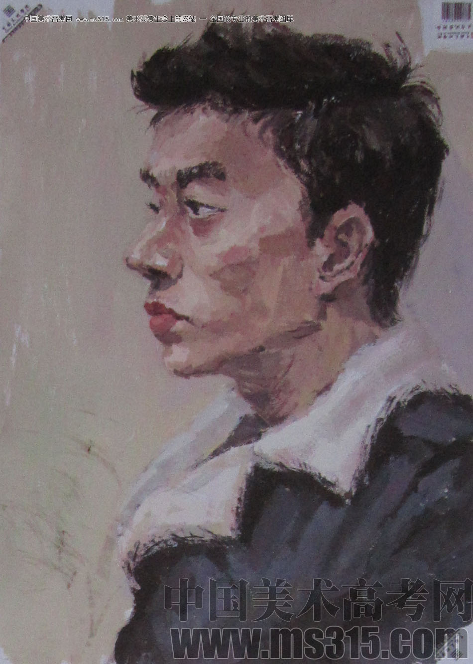 2013年中国美术学院造型图媒类色彩优秀试卷70