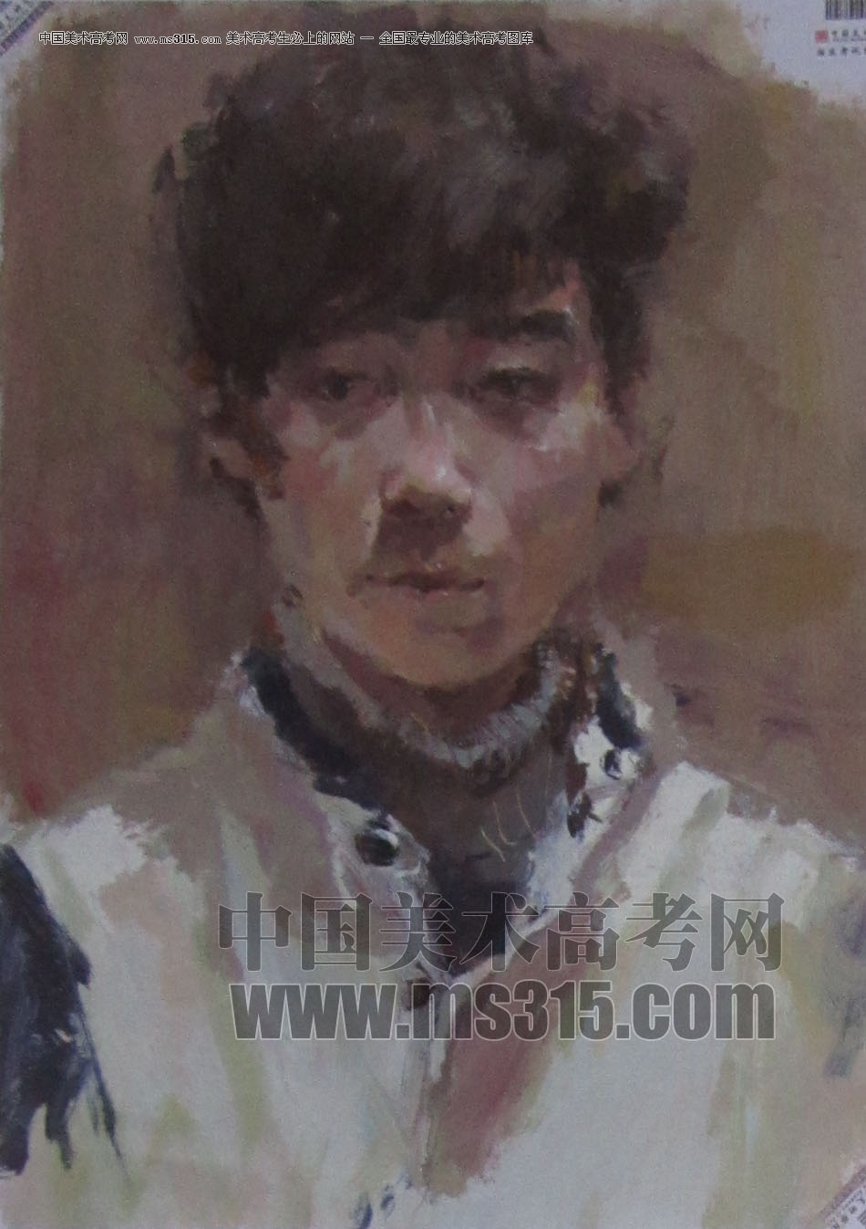 2013年中国美术学院造型图媒类色彩优秀试卷72