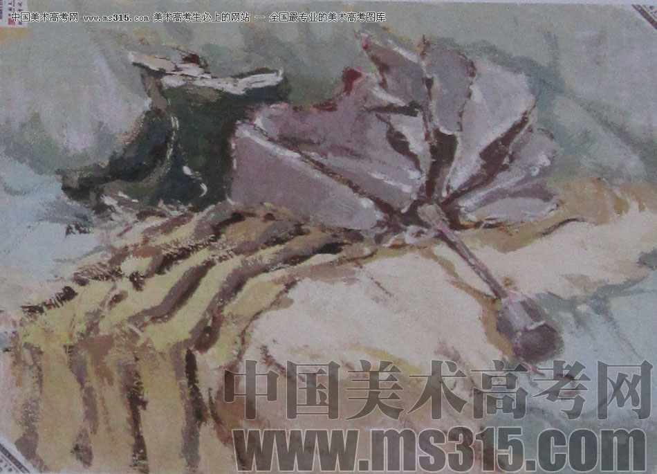 2013年中国美术学院造型图媒类色彩优秀试卷82