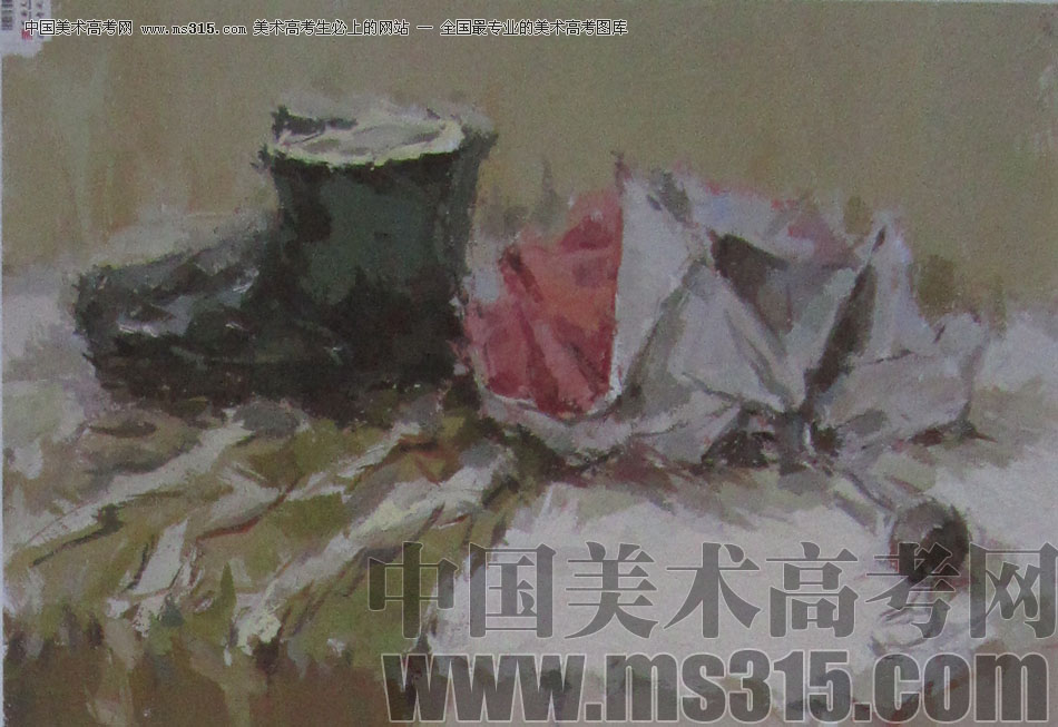 2013年中国美术学院造型图媒类色彩优秀试卷84