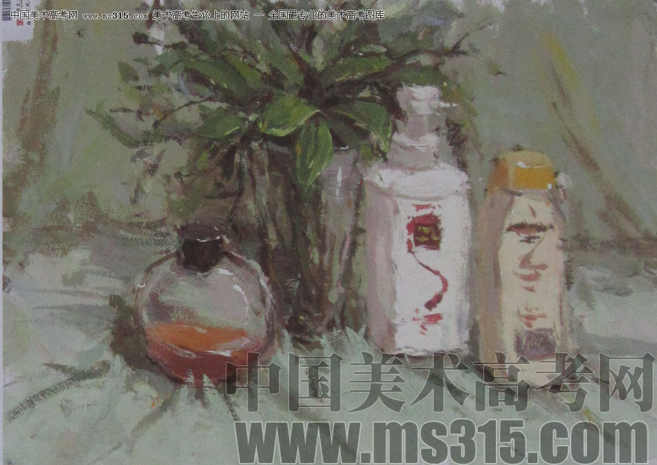2013年中国美术学院造型图媒类色彩优秀试卷88