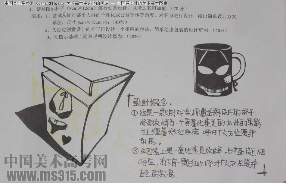 2013年江南大学设计基础（综合设计）优秀试卷1