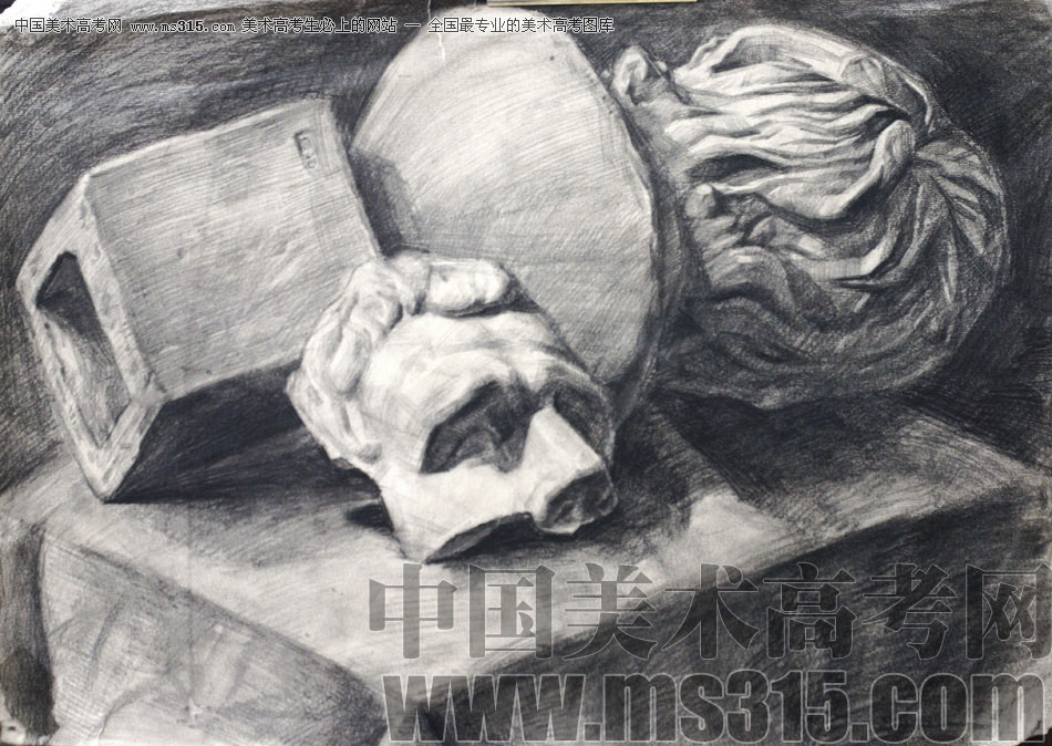 天津旗舰画室素描优秀作品投稿8