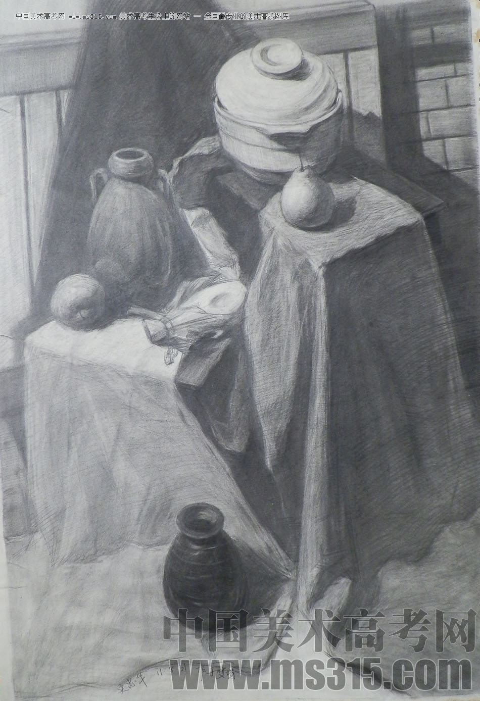 济南梦鸢画室优秀作品（9）