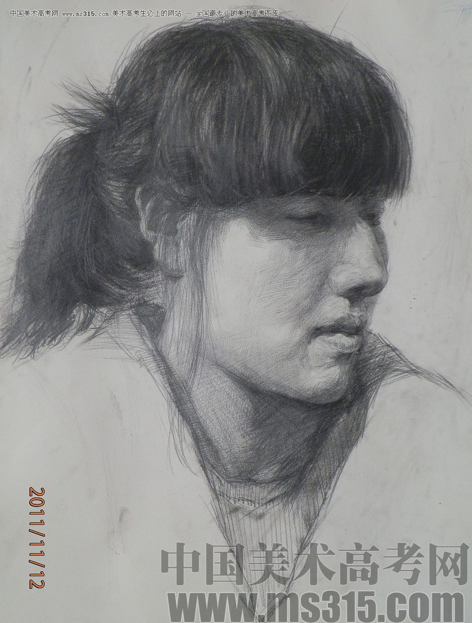 济南梦鸢画室优秀作品（13）