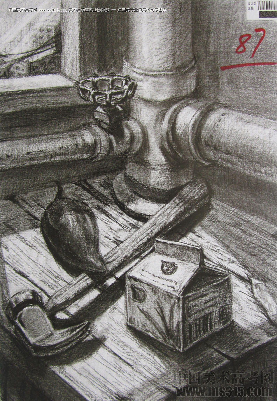 2013年四川美术学院设计素描优秀试卷（7）