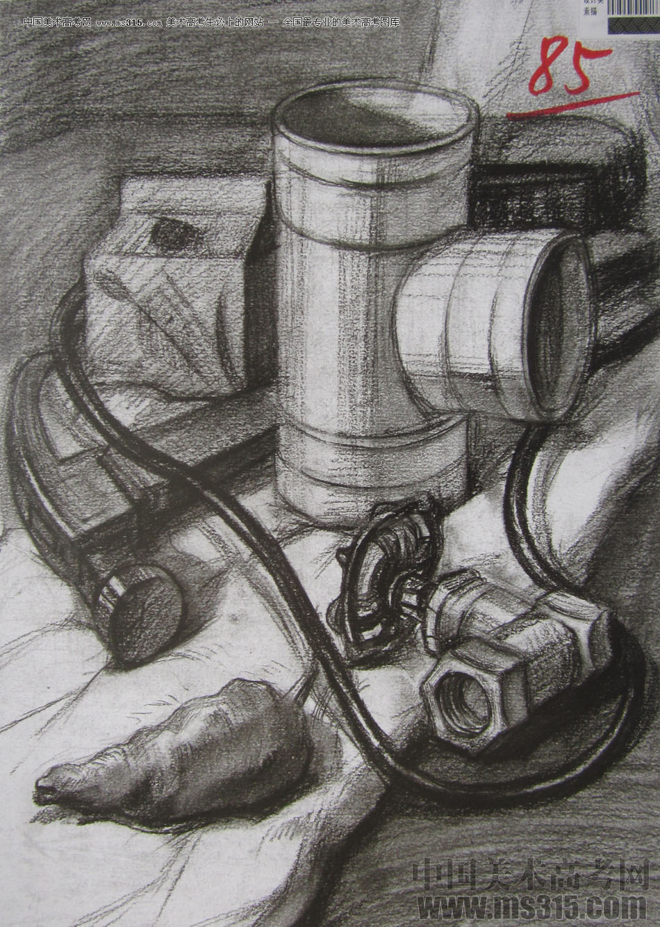 2013年四川美术学院设计素描优秀试卷（13）