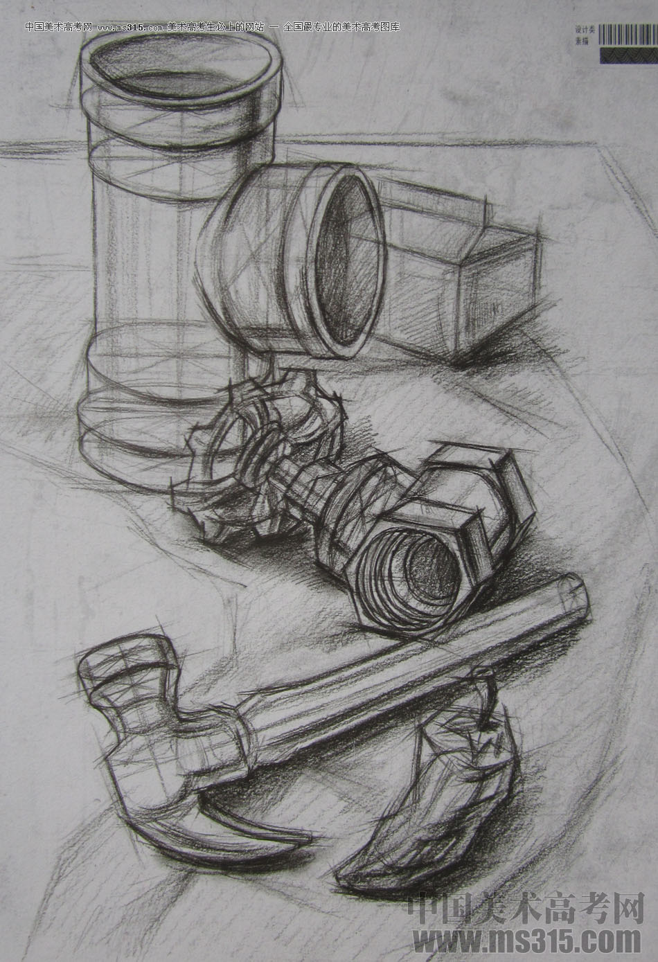 2013年四川美术学院设计素描优秀试卷（15）
