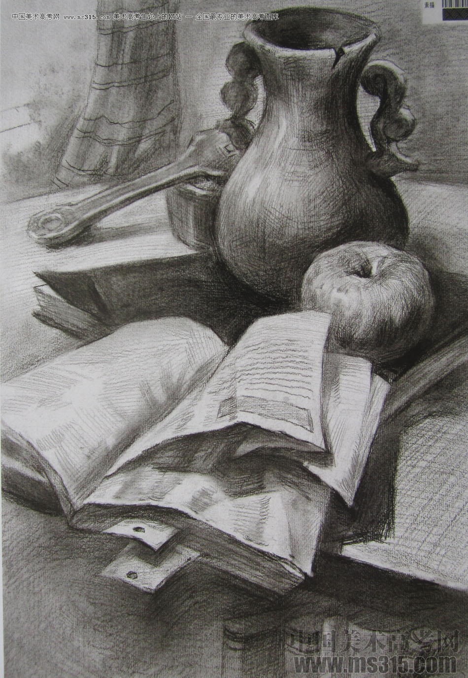 2013年四川美术学院设计素描优秀试卷（14）