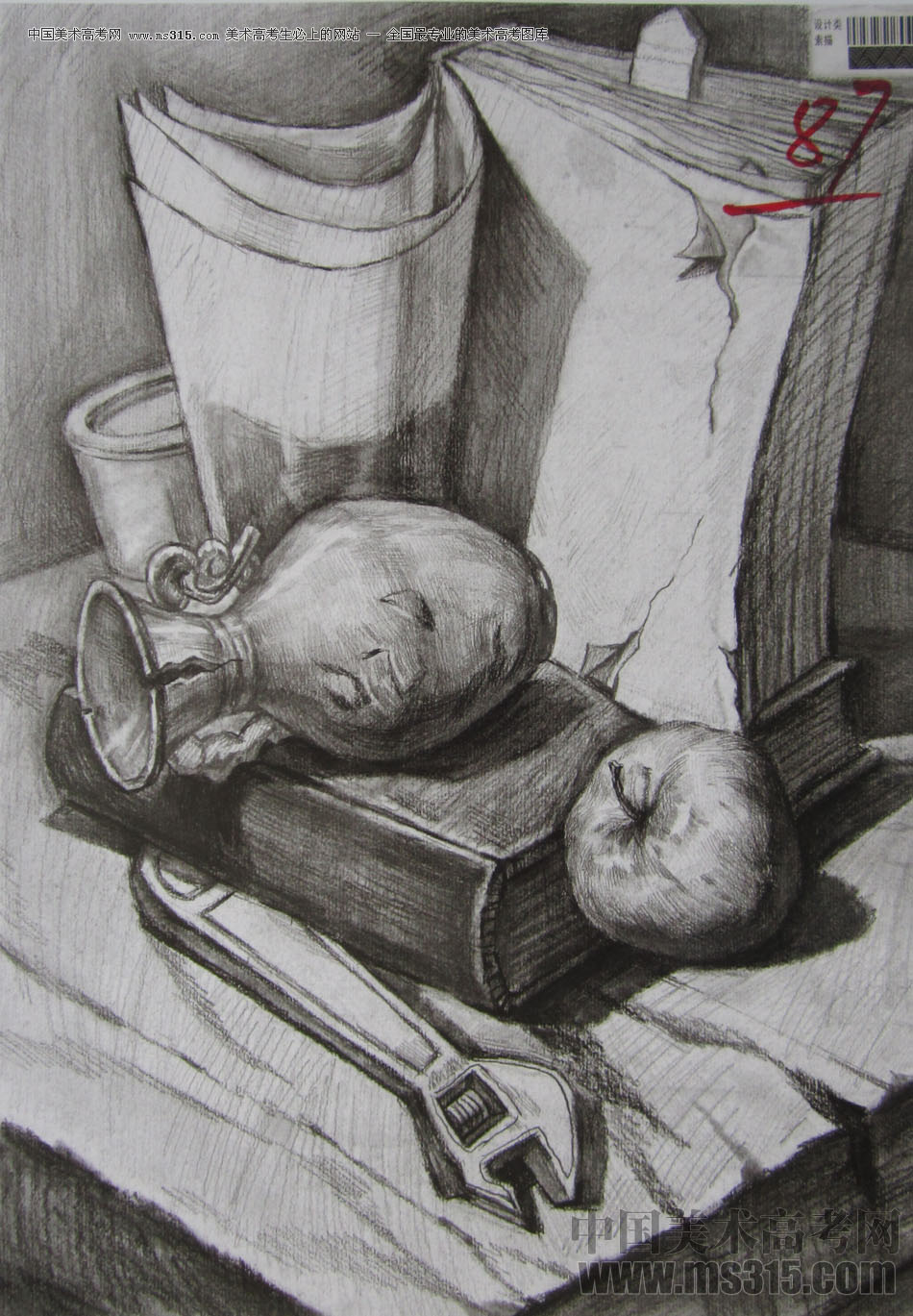 2013年四川美术学院设计素描优秀试卷（20）