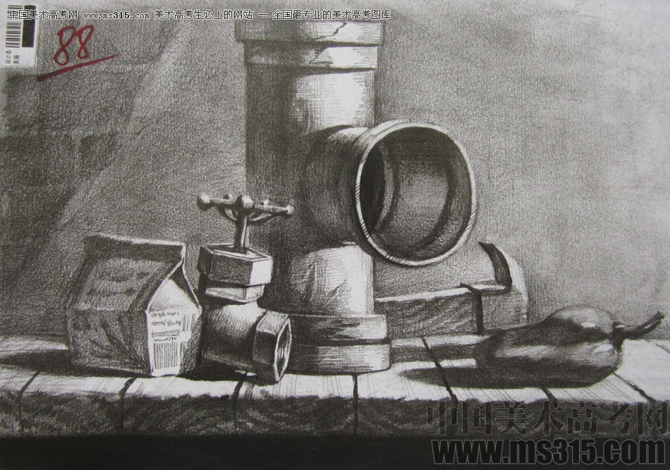 2013年四川美术学院设计素描优秀试卷（22）