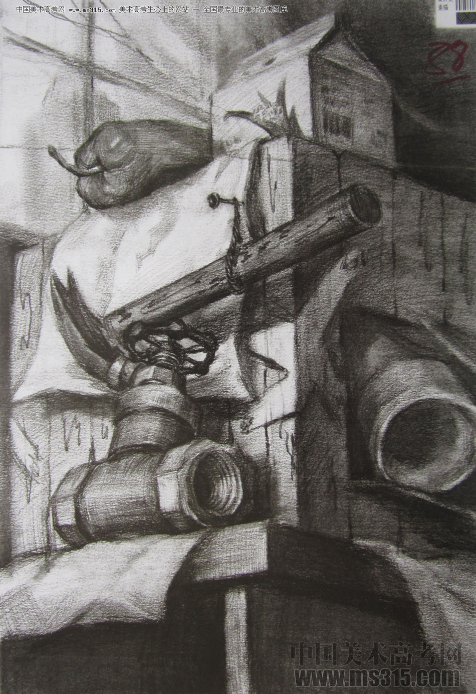 2013年四川美术学院设计素描优秀试卷（24）
