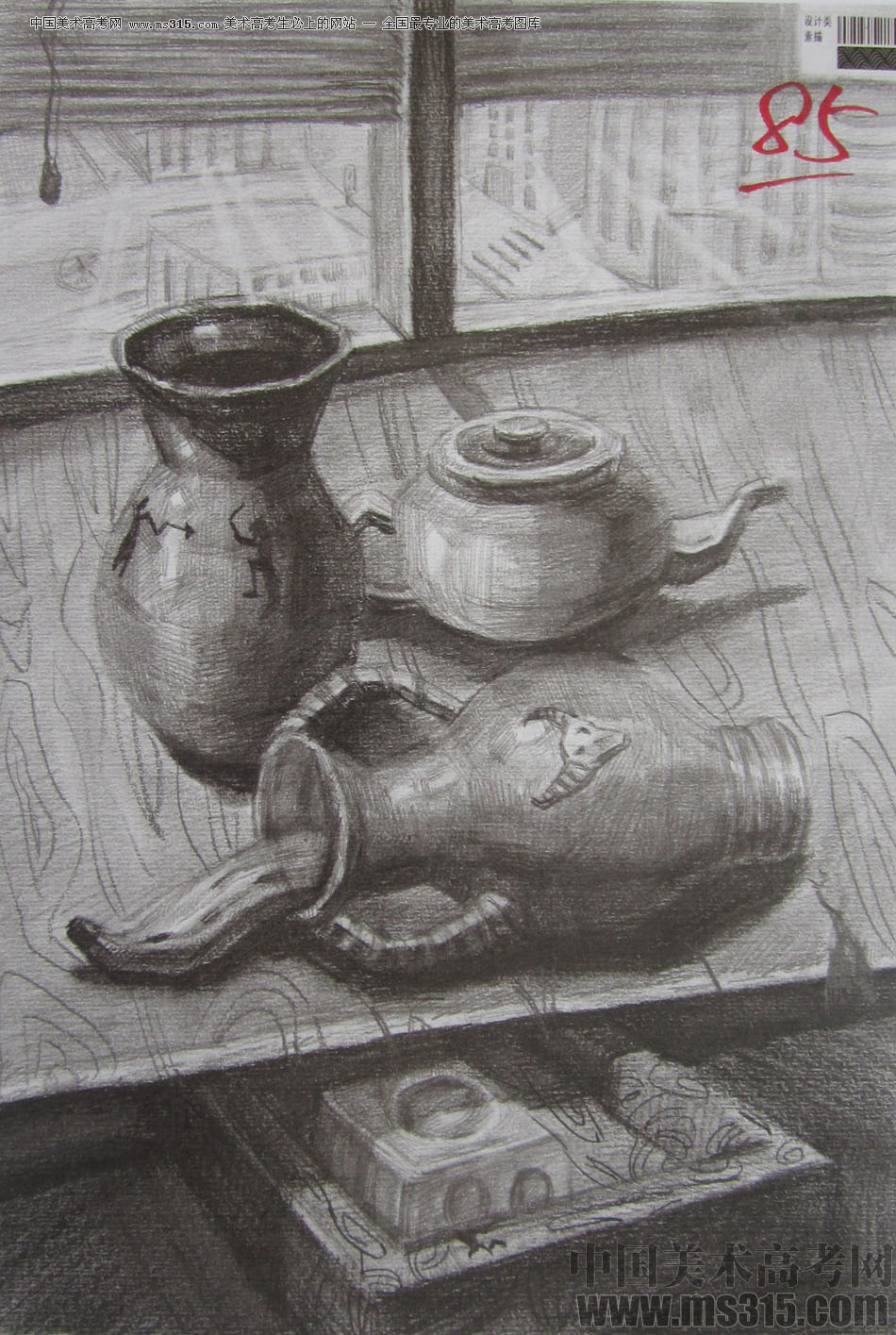 2013年四川美术学院设计素描优秀试卷（40）