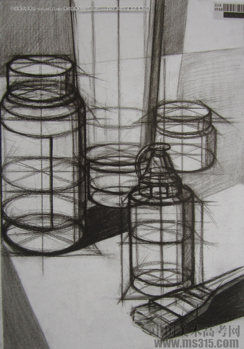 2013年四川美术学院设计素描优秀试卷（41）