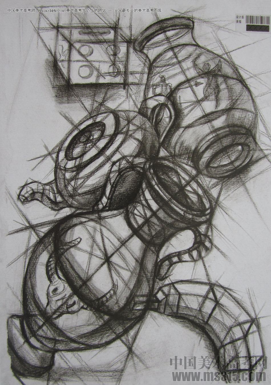 2013年四川美术学院设计素描优秀试卷（42）