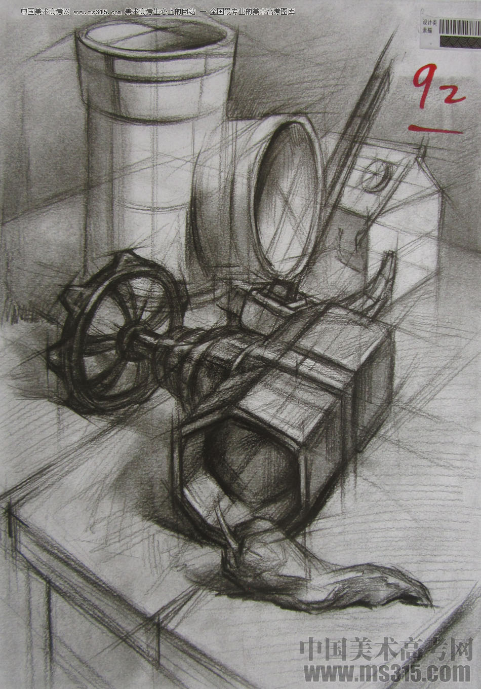 2013年四川美术学院设计素描优秀试卷（43）