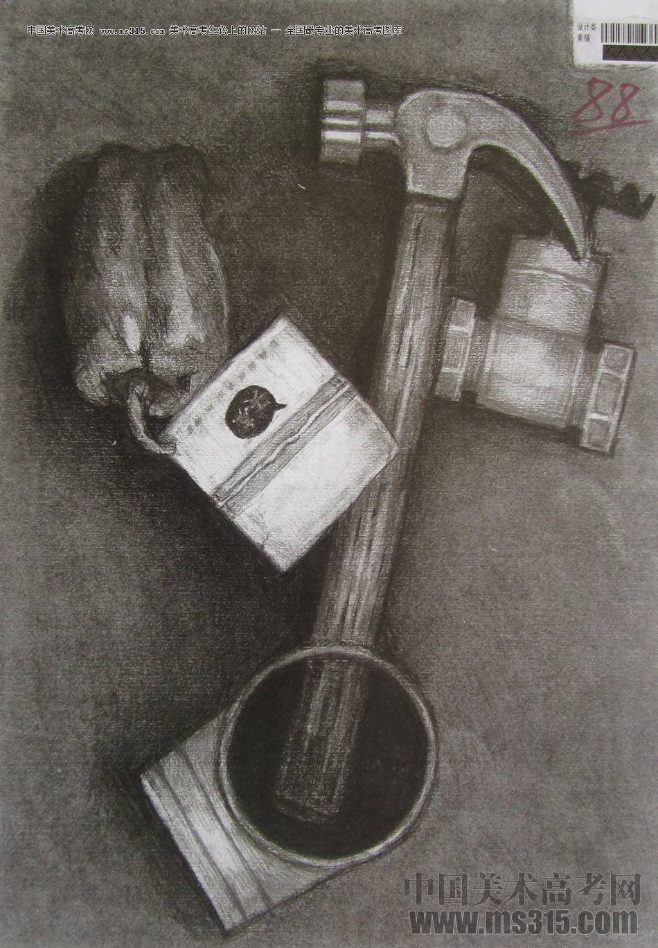 2013年四川美术学院设计素描优秀试卷（46）
