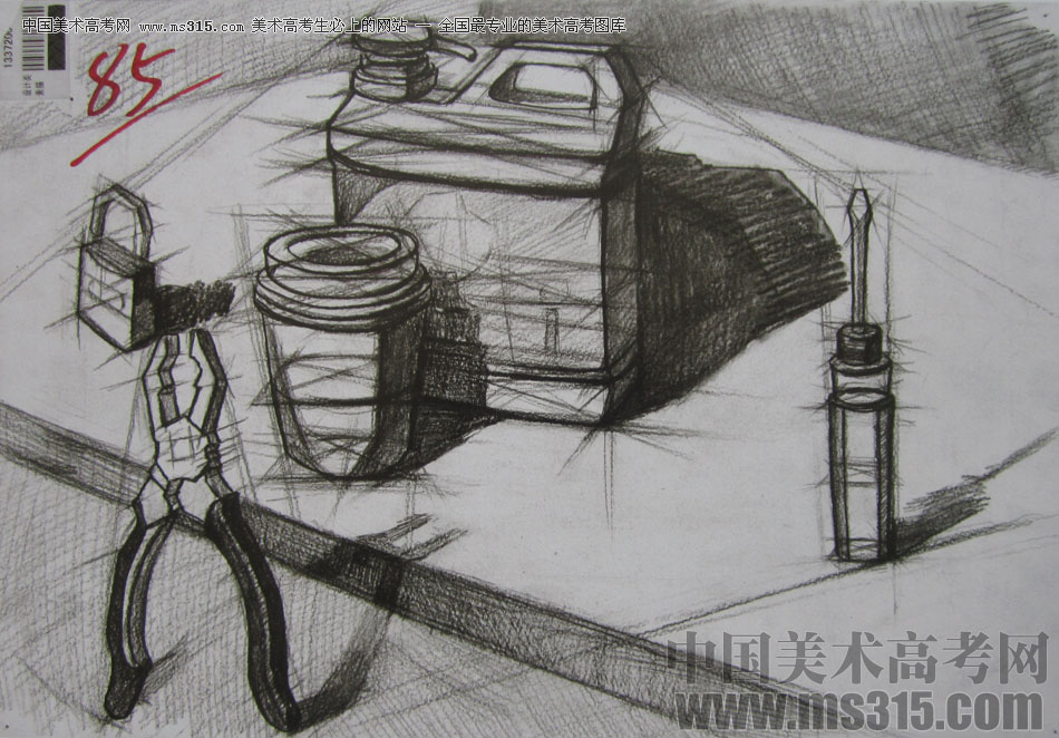 2013年四川美术学院设计素描优秀试卷（49）