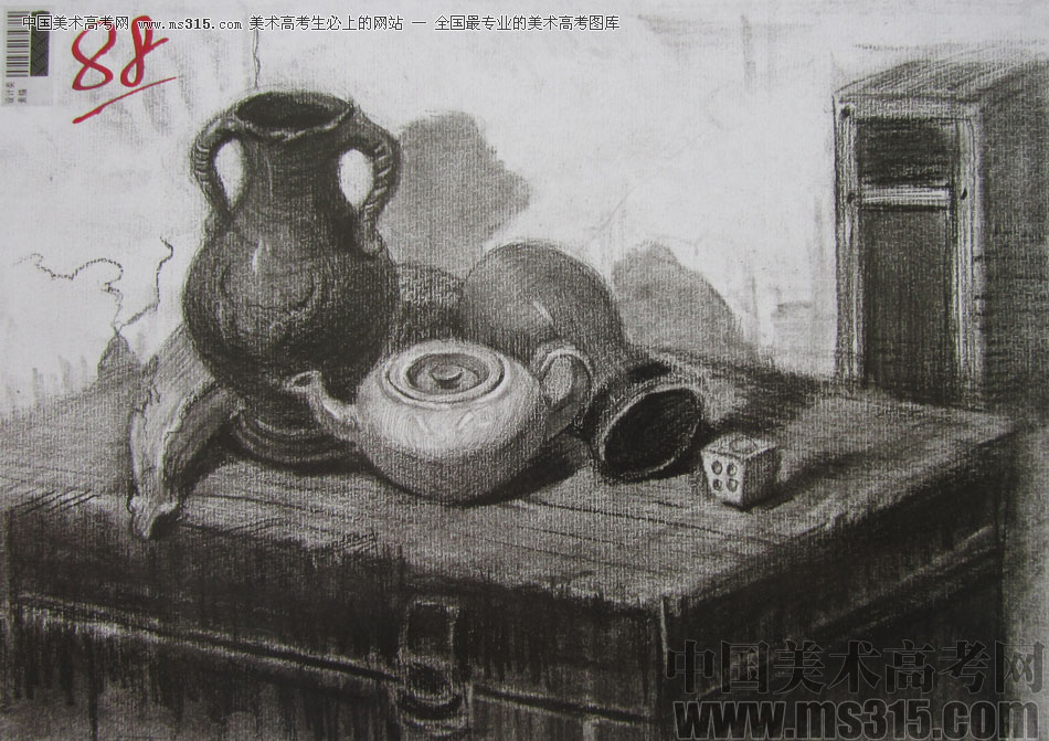 2013年四川美术学院设计素描优秀试卷（50）