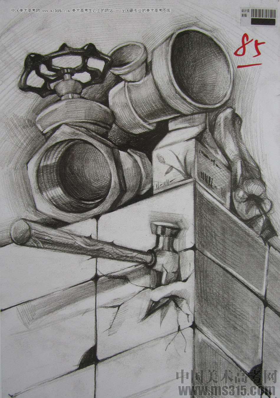 2013年四川美术学院设计素描优秀试卷（53）