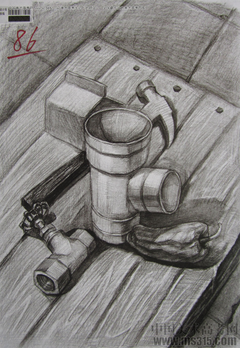 2013年四川美术学院设计素描优秀试卷（55）