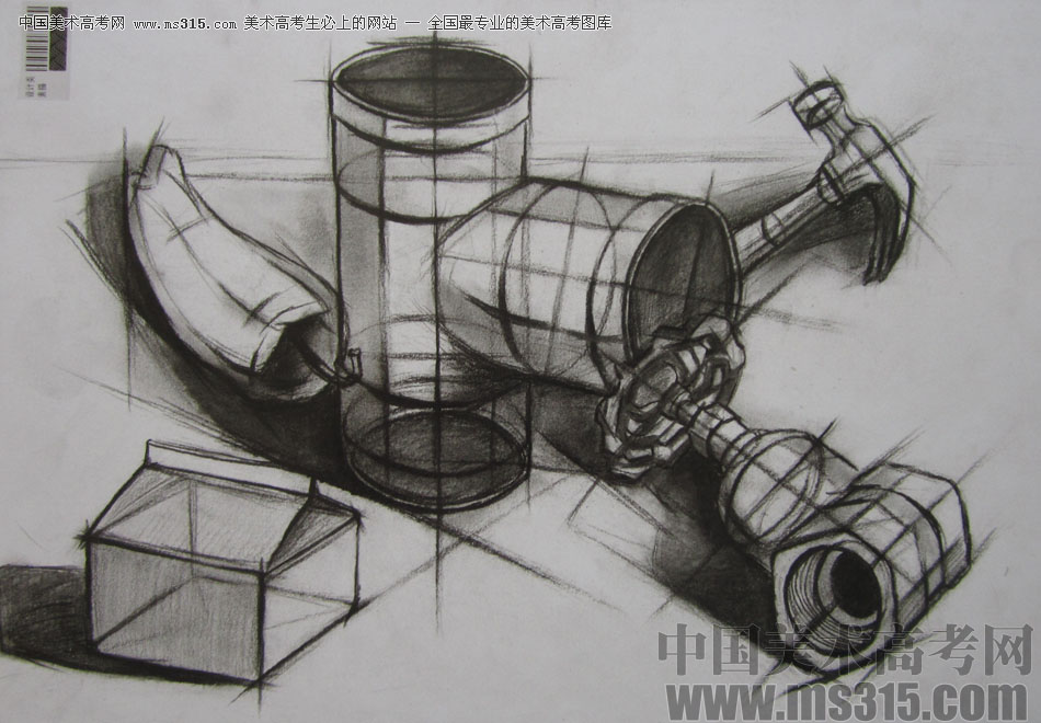 2013年四川美术学院设计素描优秀试卷（58）
