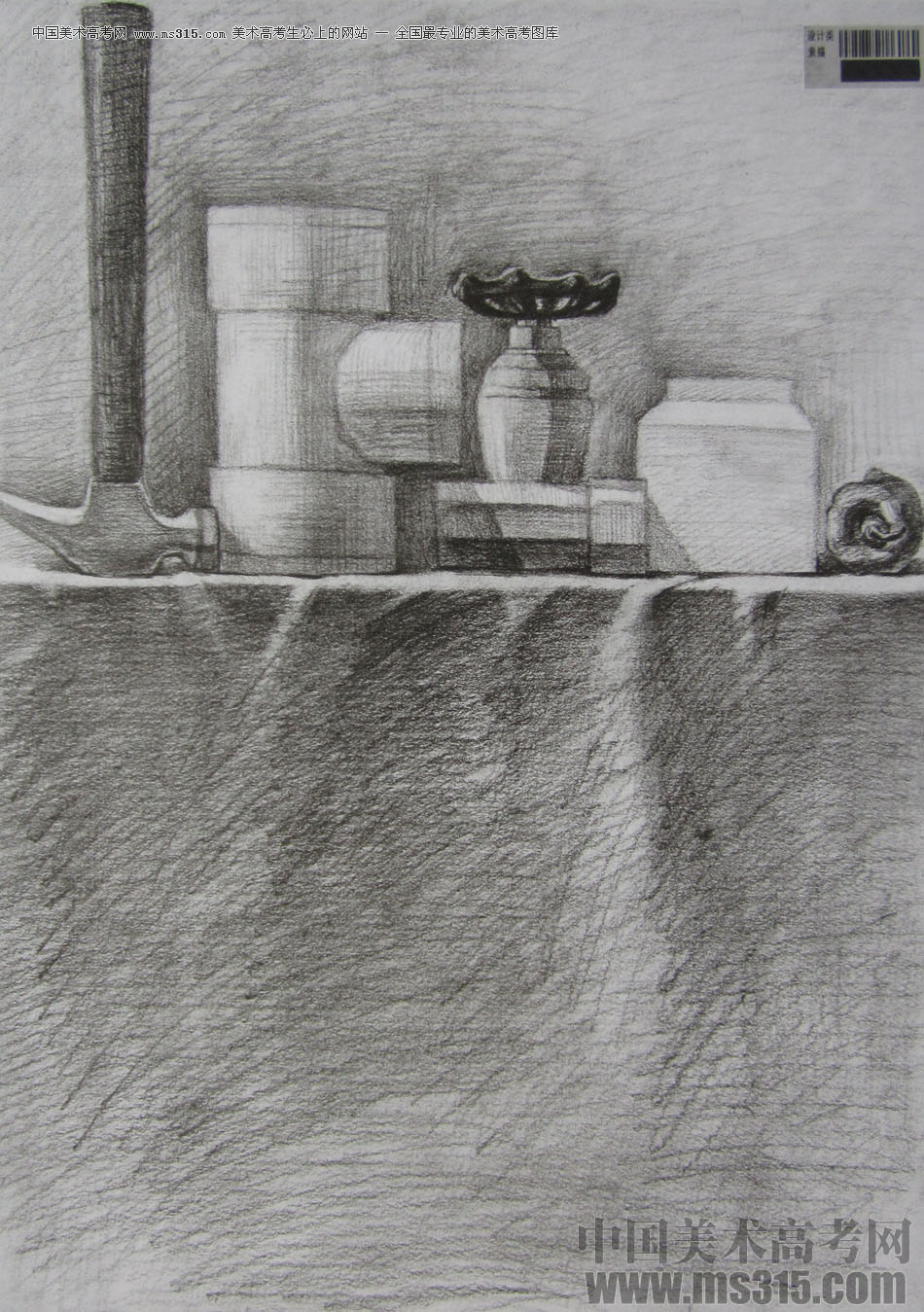 2013年四川美术学院设计素描优秀试卷（27）