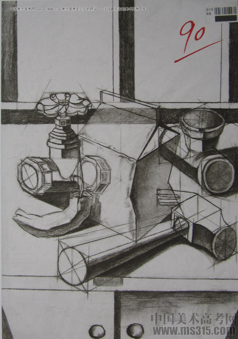 2013年四川美术学院设计素描优秀试卷（30）