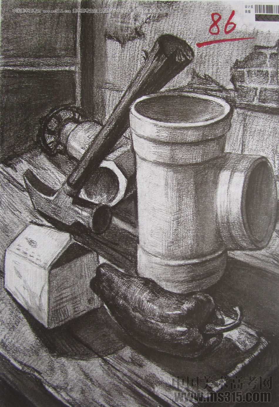 2013年四川美术学院设计素描优秀试卷（35）